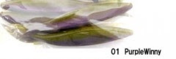 Purple Winny (1)